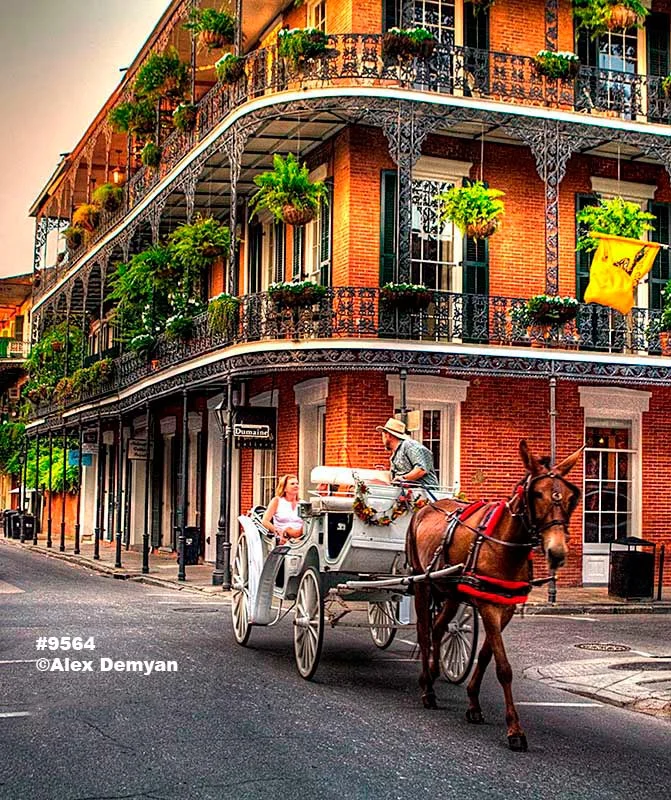 New Orleans Carriage Ride Photos