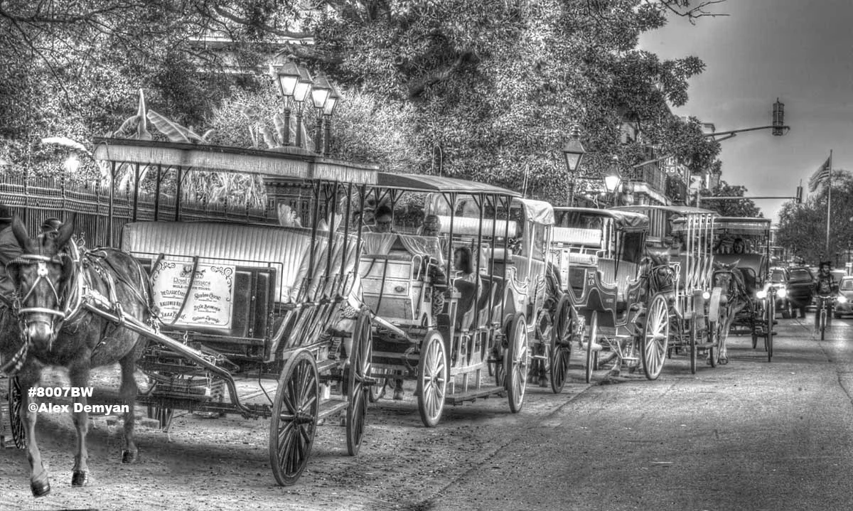 French Quarter Carriages