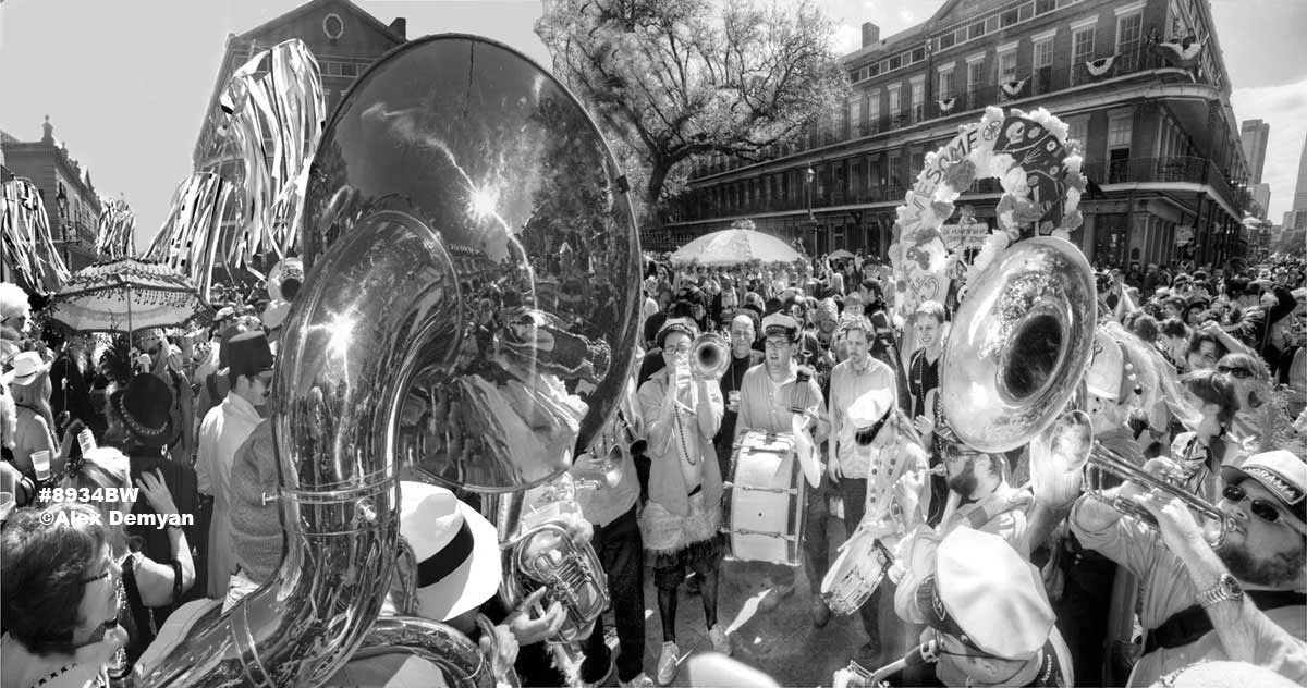 Mardi Gras Panoramic