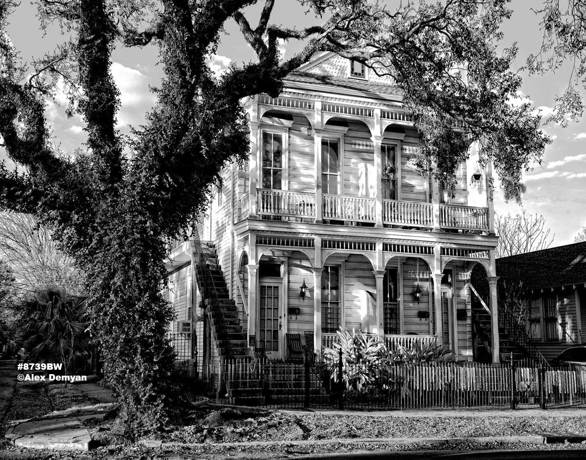 New Orleans Magazine Street