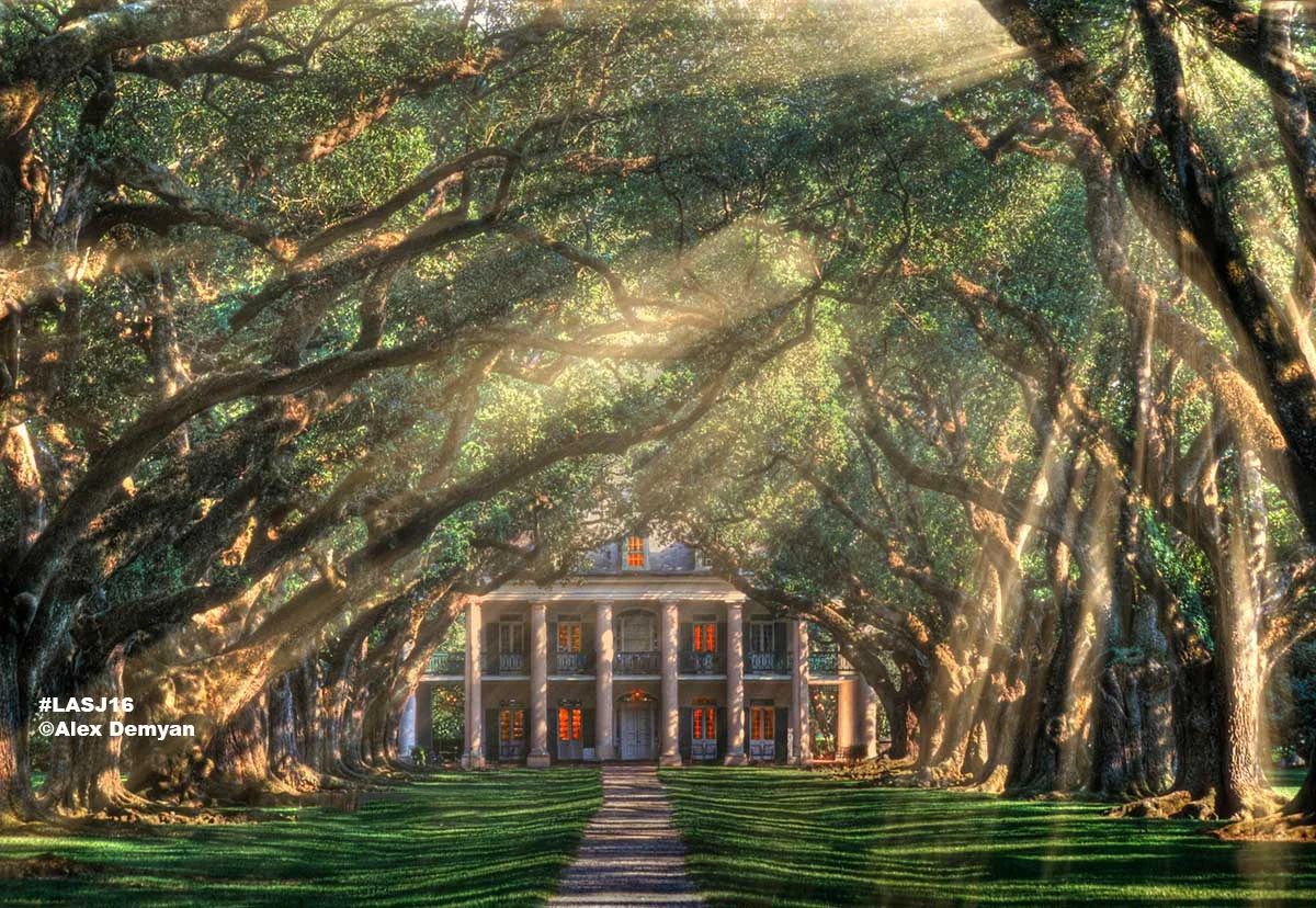 Louisiana Plantations
