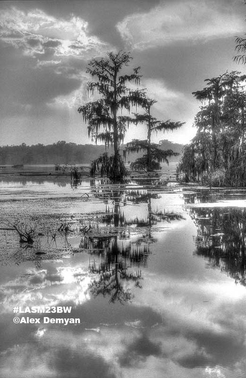 black and white louisiana pictures