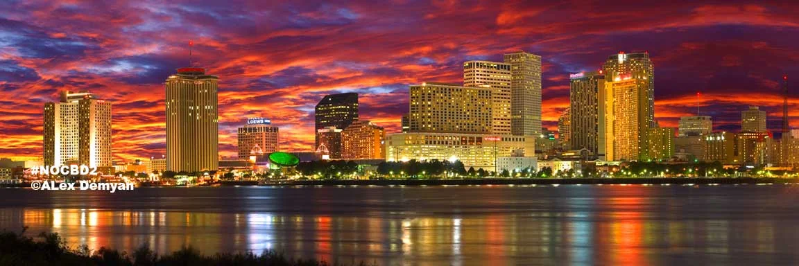 New Orleans Skyline