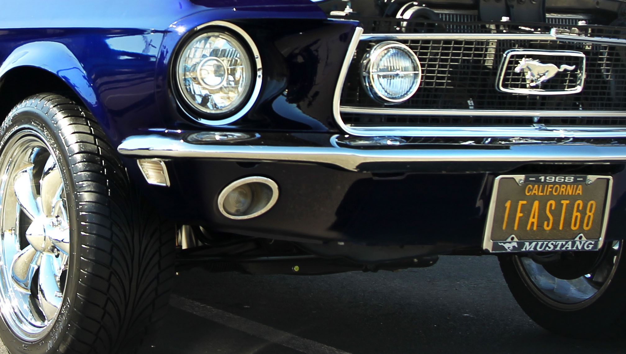 mustang-81713.jpg