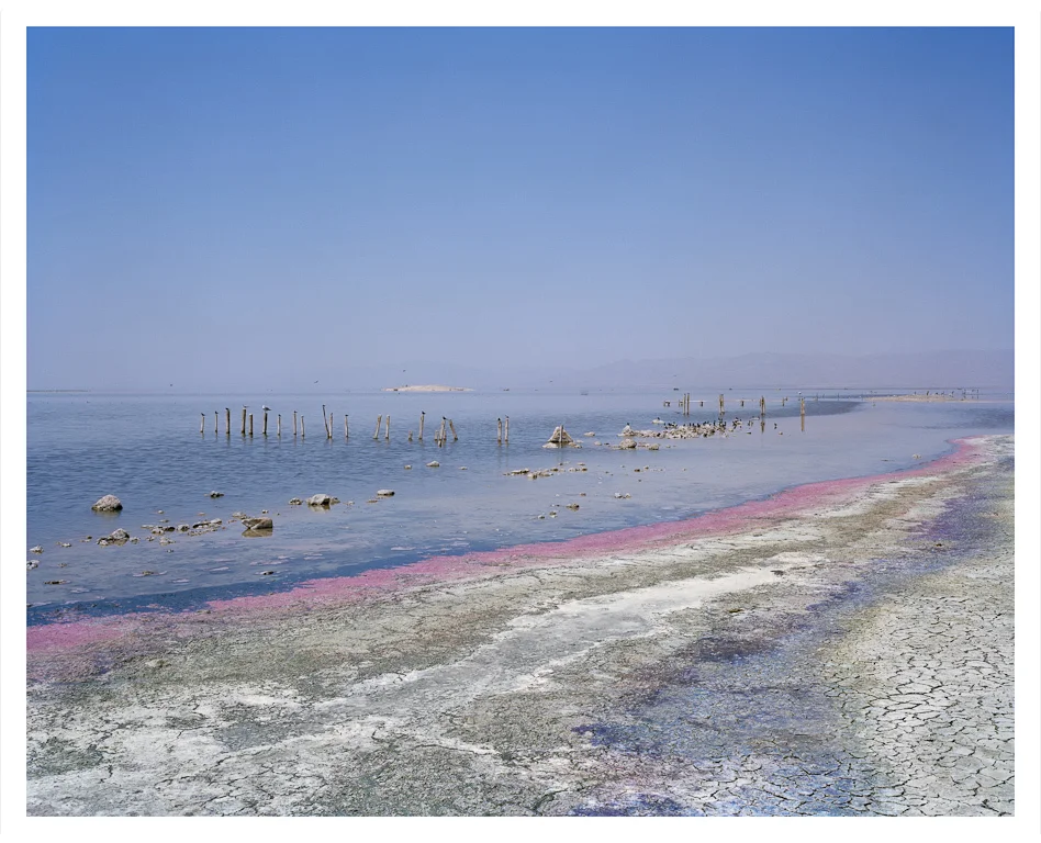 Sea+(algal+bloom).jpg
