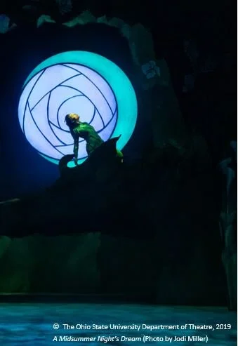 Web Puck in moon.JPG