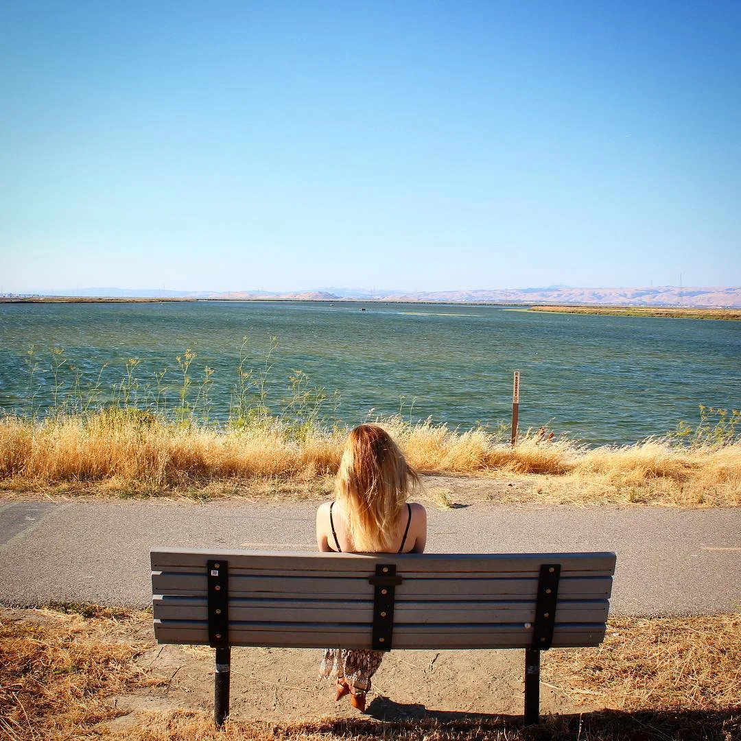 MB-bench.jpg