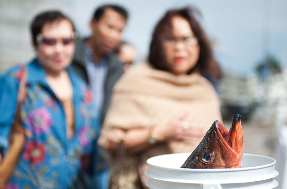  Buyers at the Channel Islands Farmer's Market in Oxnard, Calif. wait for a freshly caught rockfish to be weighed. 