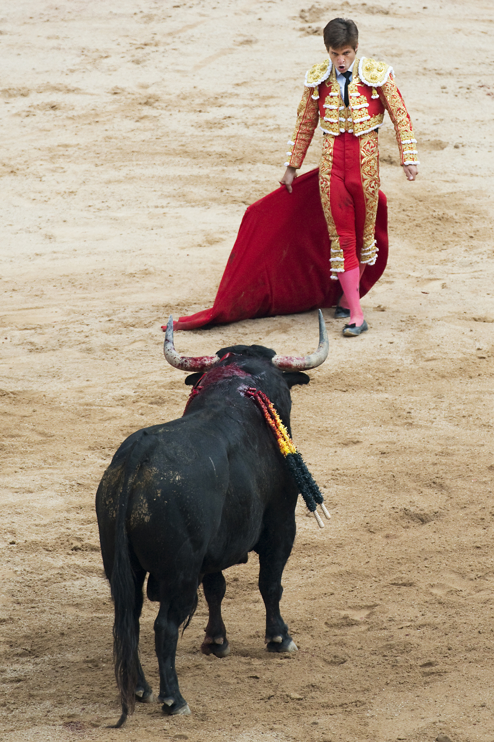 The matador and wounded bull face each other during the final act of a bullfight called Tercio de Muerte in Pamplona's Plaza de Toros, Spain, on Thursday, July 11, 2013. A bullfight occurs every evening throughout the week long festival of San Fermin.