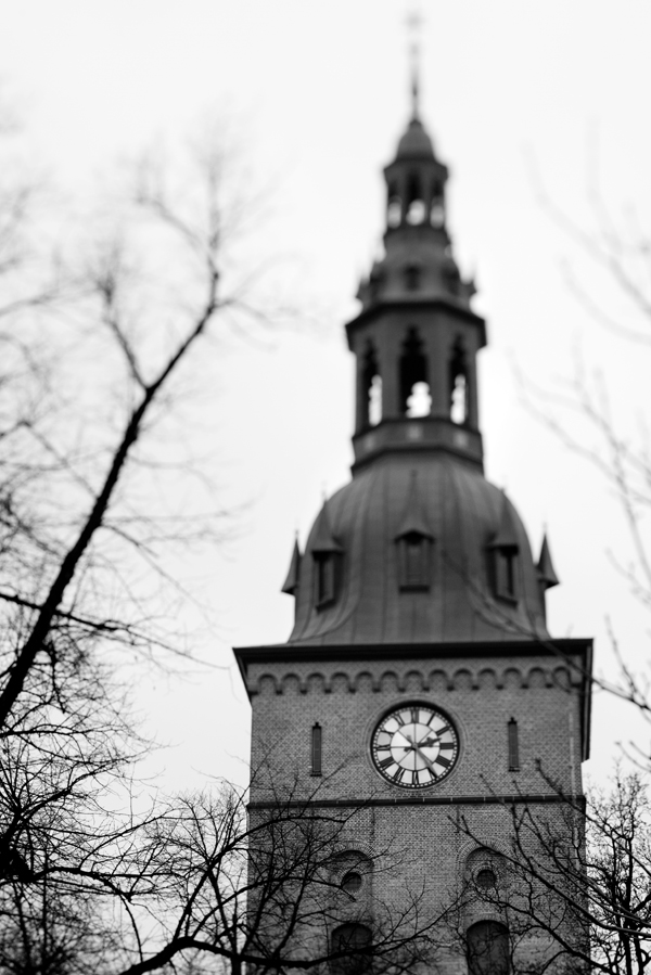 DSC_1453.jpg