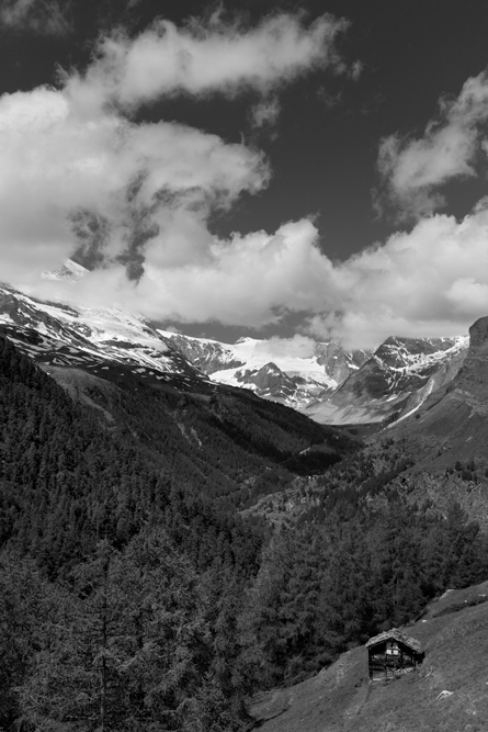 DSC_4110.jpg