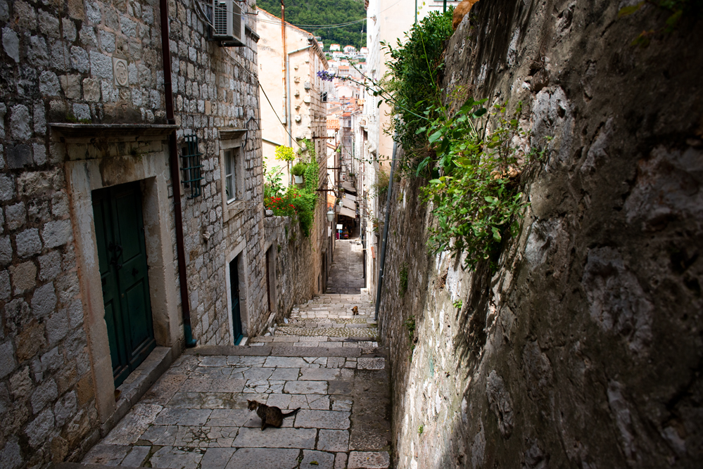 DSC_4201.jpg