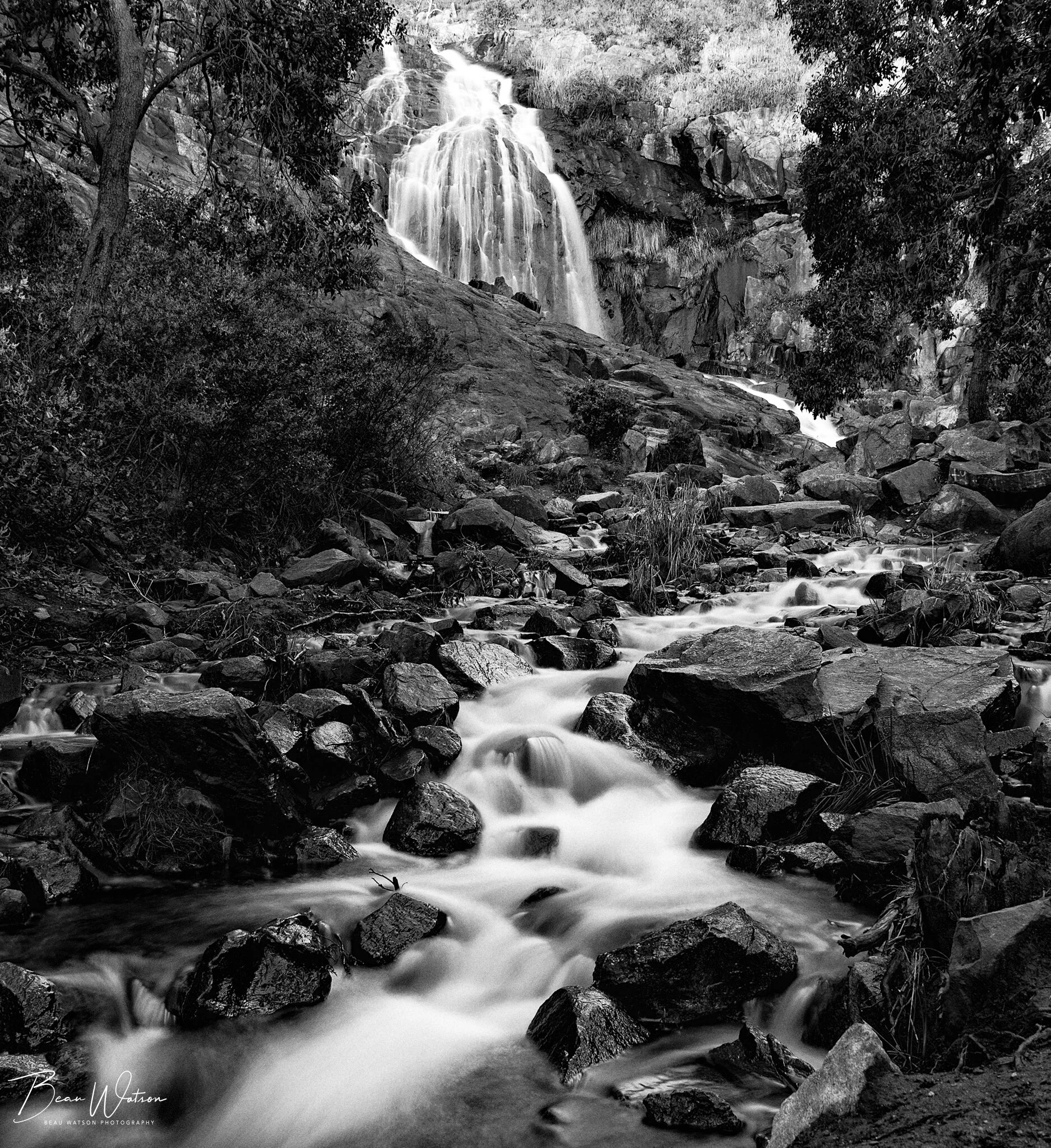 lesmurdiebw1 (1 of 1).JPG