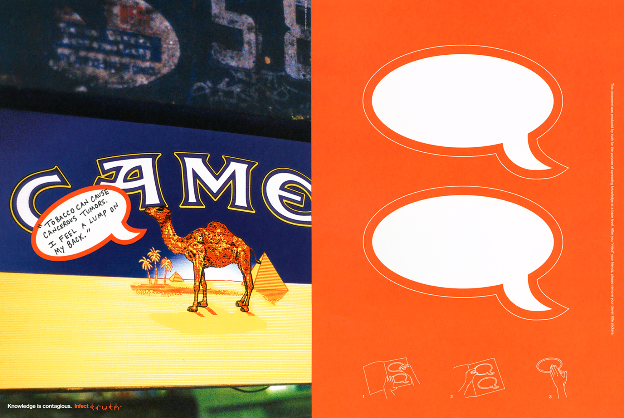 Truth_Camel_o.jpg
