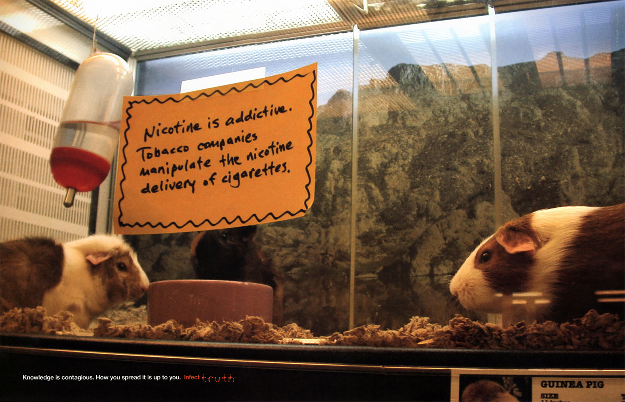 Truth_Hamsters_o.jpg