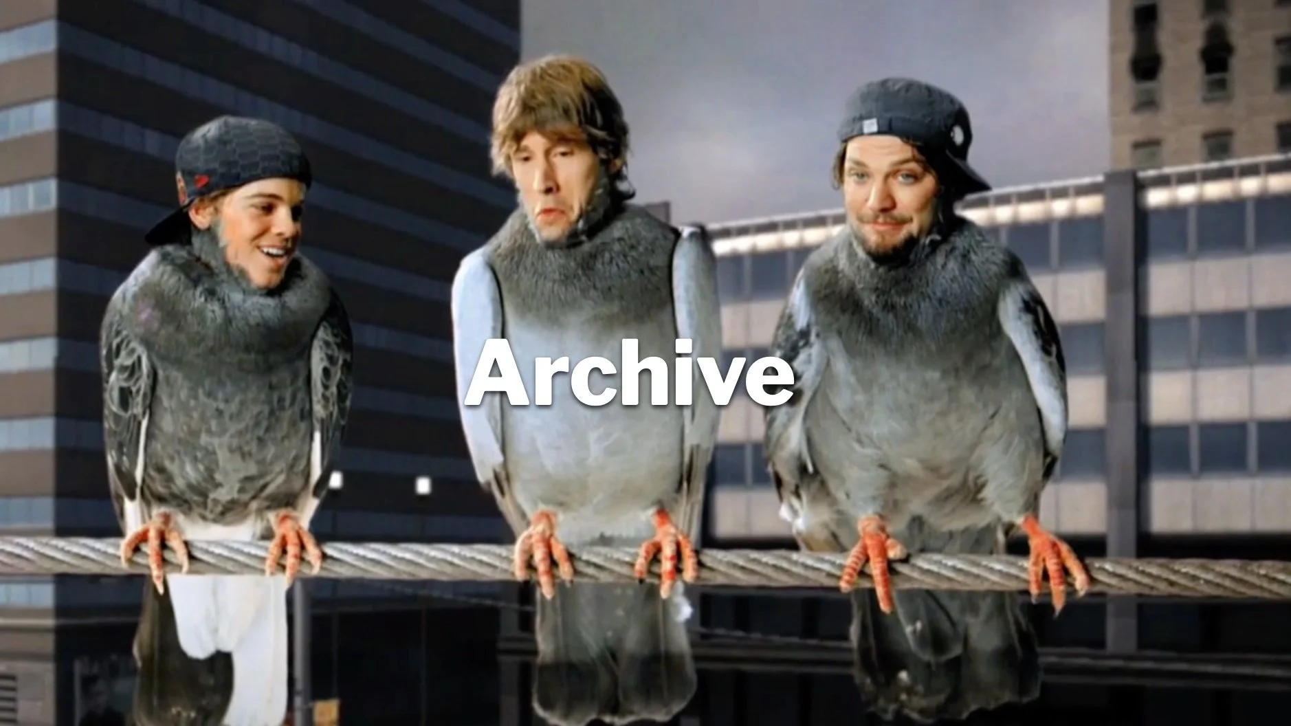 image-asset.jpg