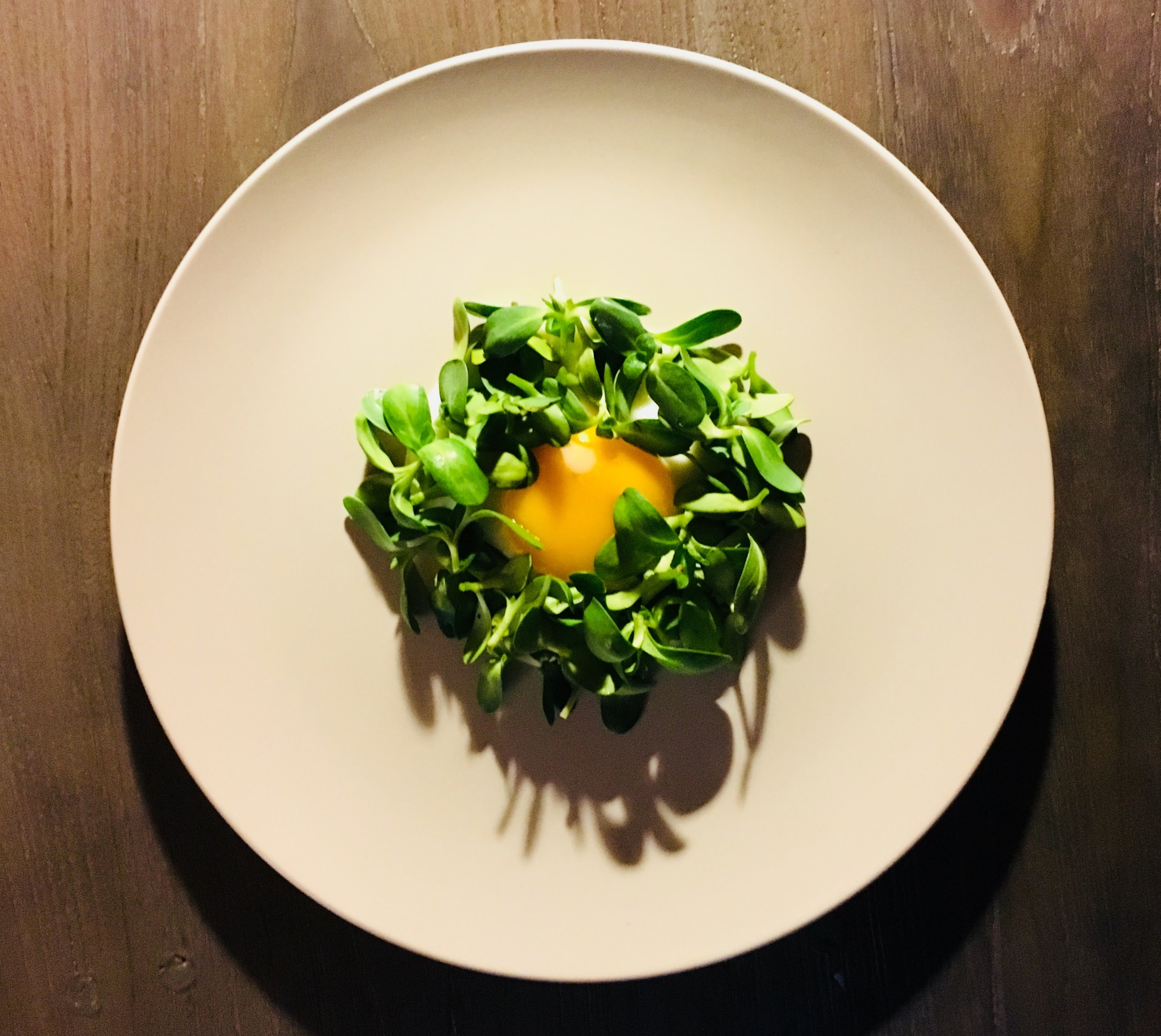 egg.jpg