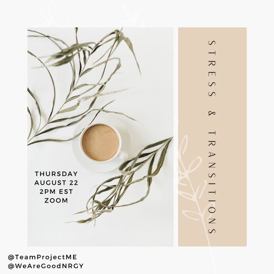 Stress and Transitions Workshop