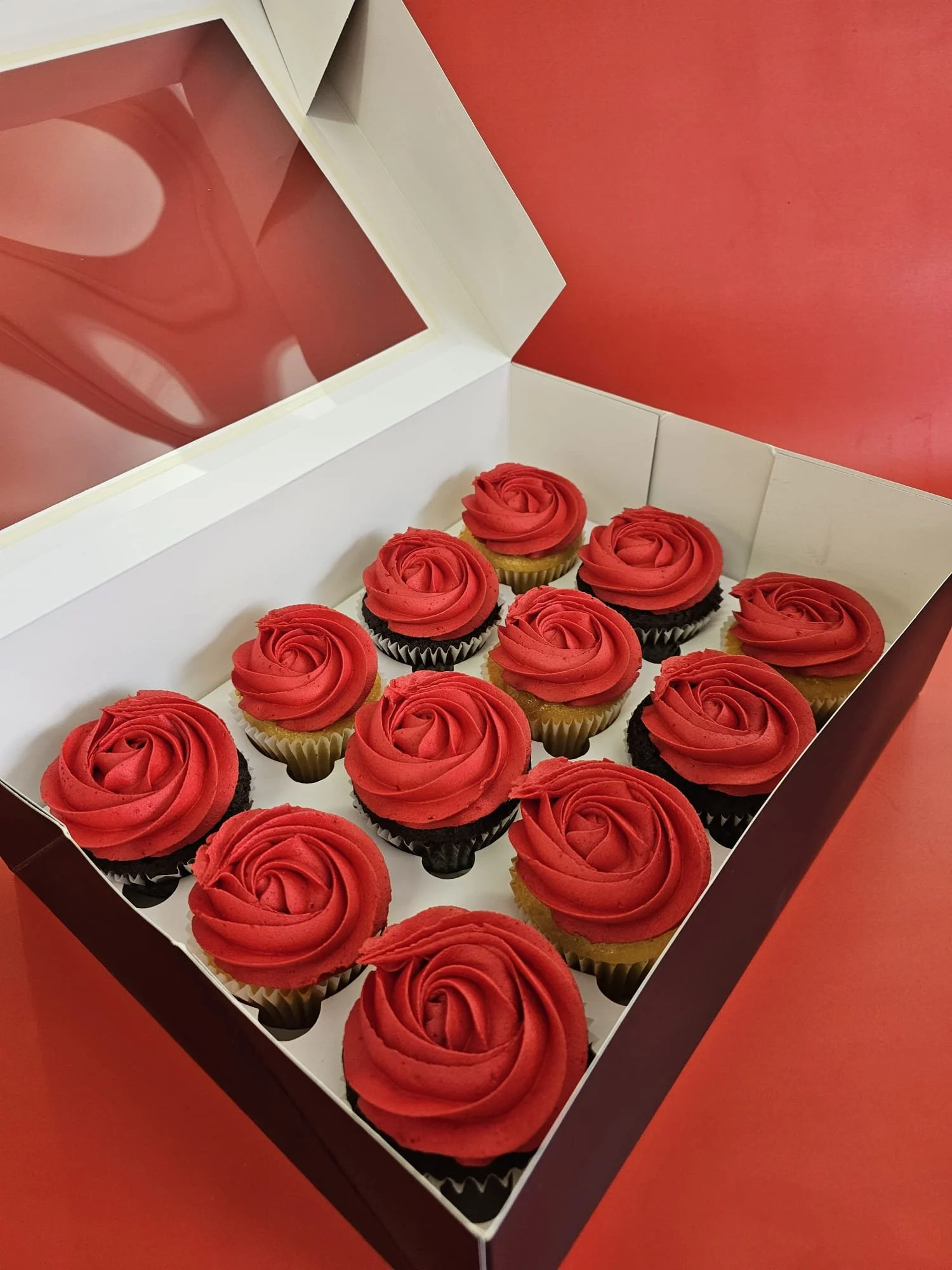 PHOTO-2026-02-03-20-05-11 (1).jpg