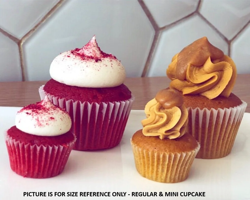 MINI CUPCAKE REFERENCE IMAGE.jpg