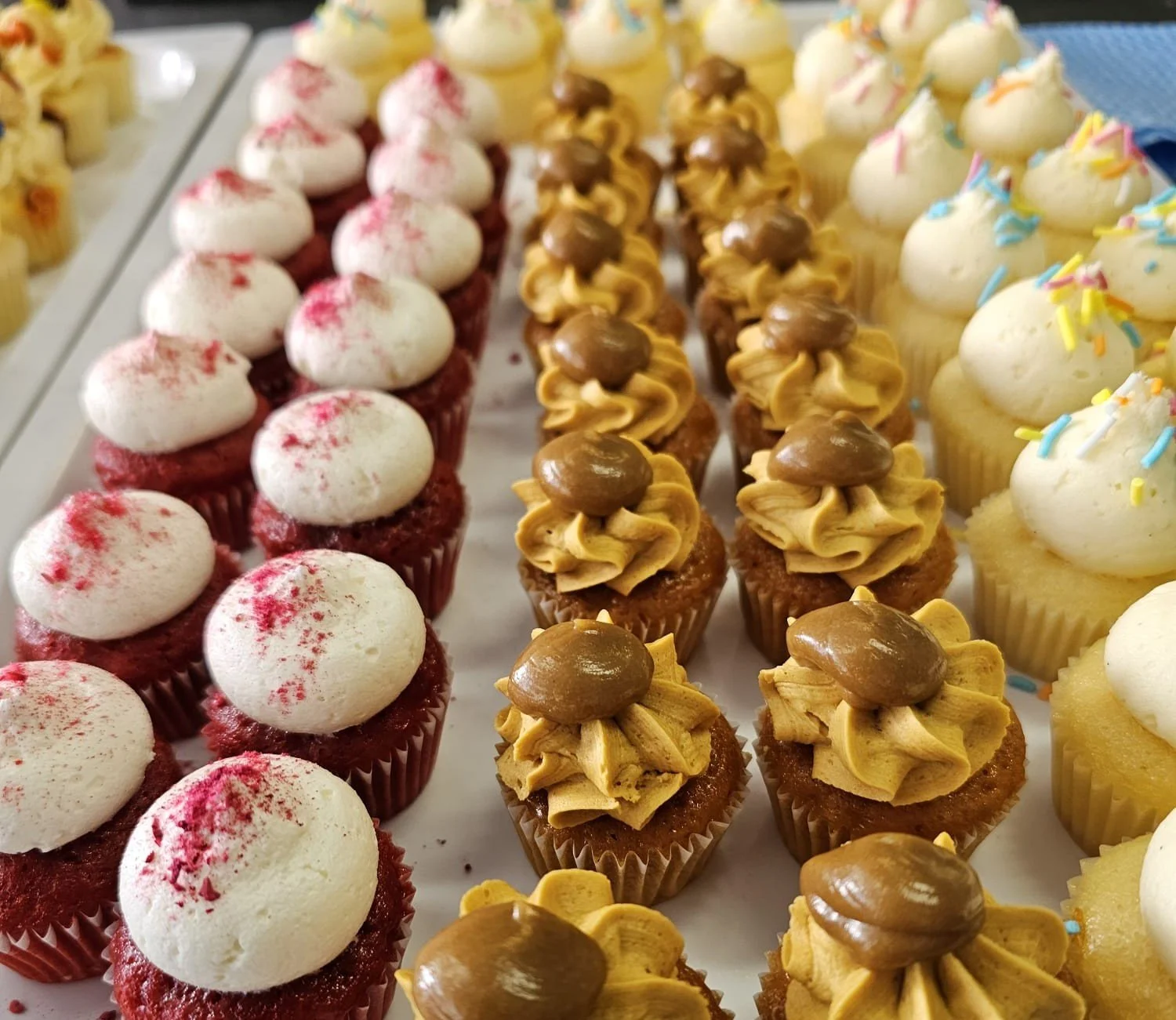 mini cupcakes 2.jpeg