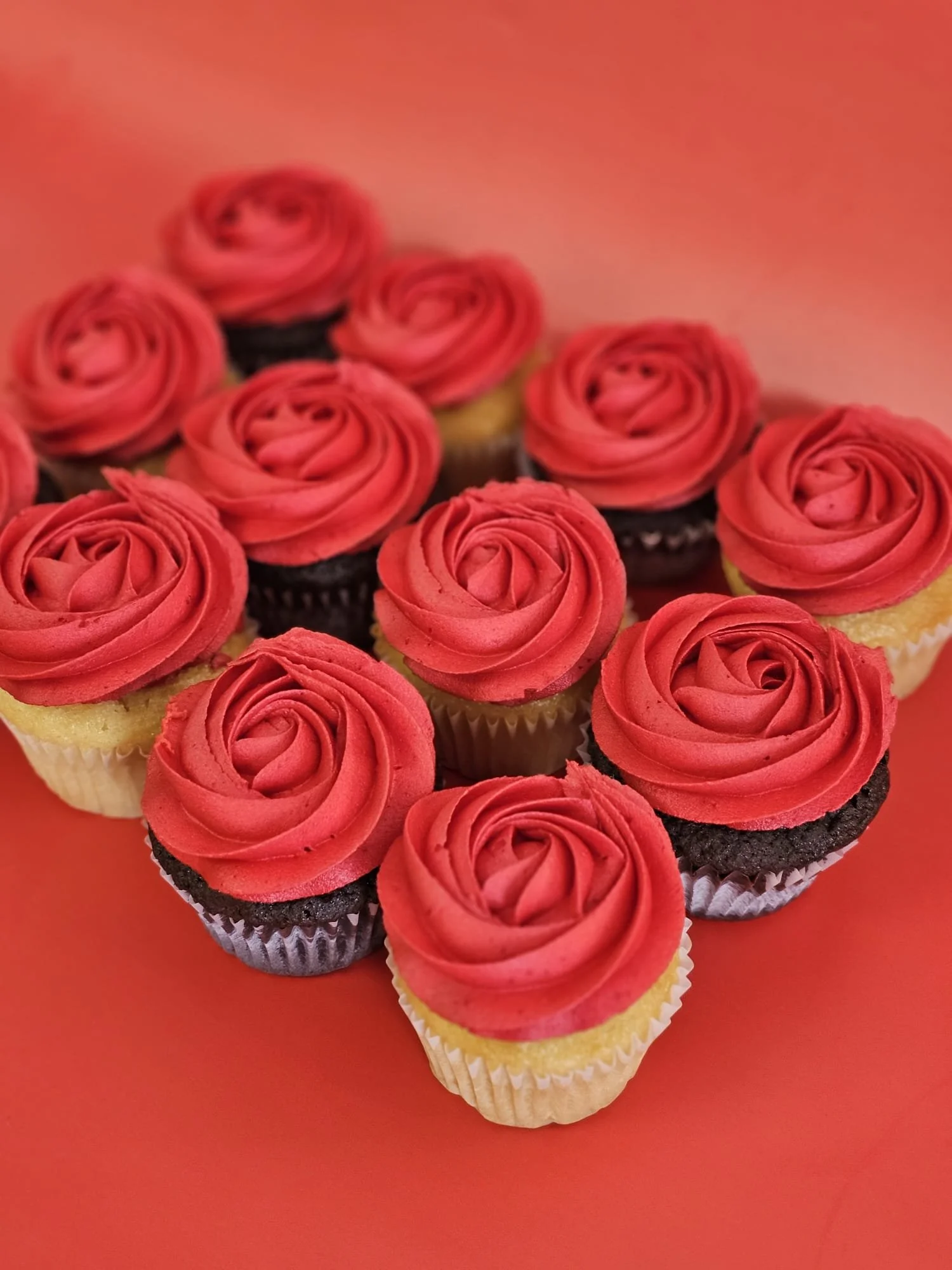 PHOTO-2026-02-03-20-05-11 (2).jpg