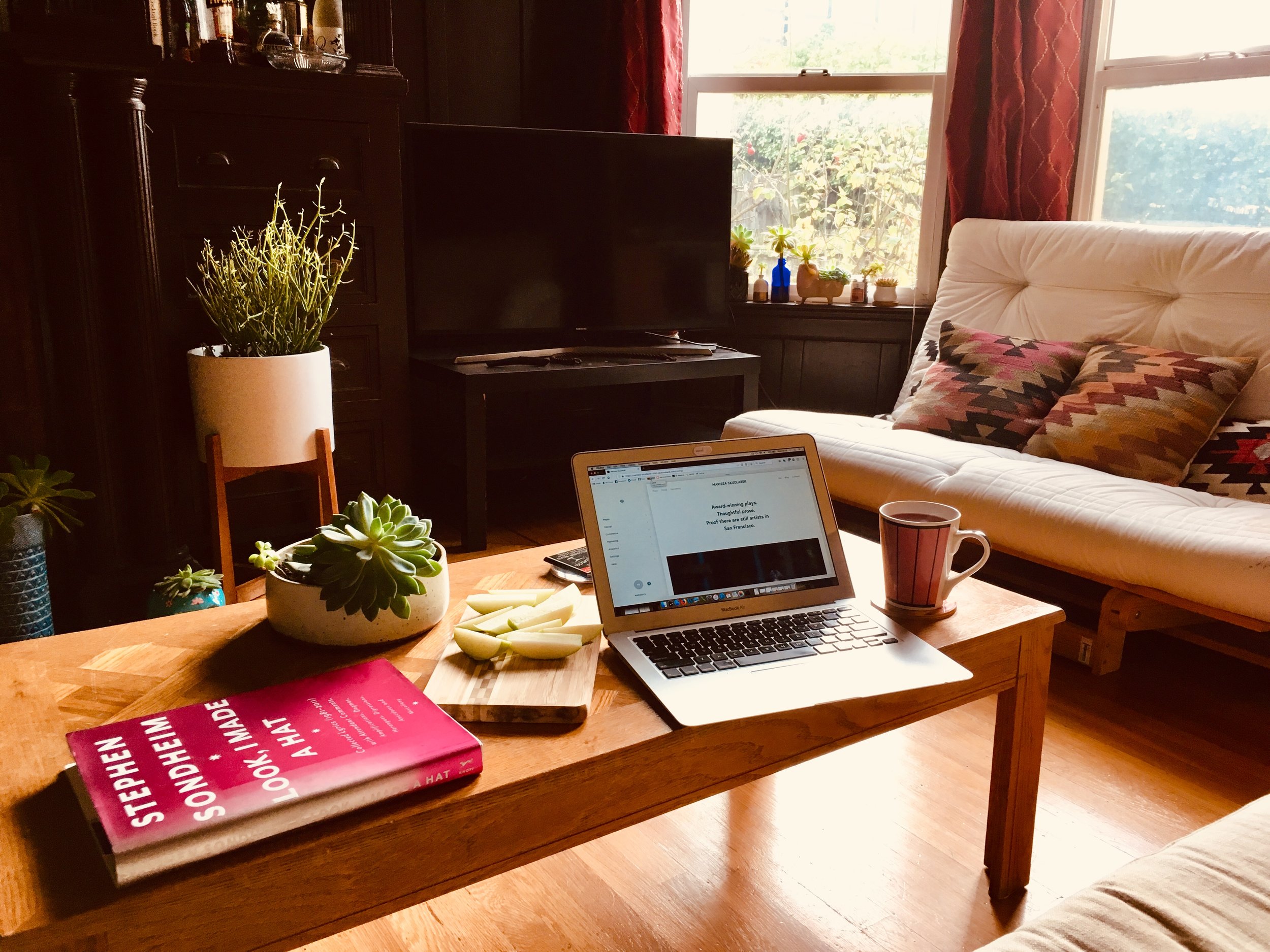 My desk is too much of a mess to show you, so here is my living room at a time when I’m not used to hanging out in it: midweek, midafternoon.