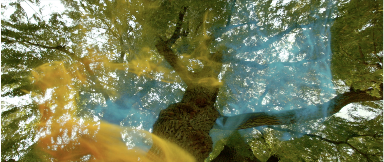 Screen Shot 2017-09-04 at 11.13.14 AM.png