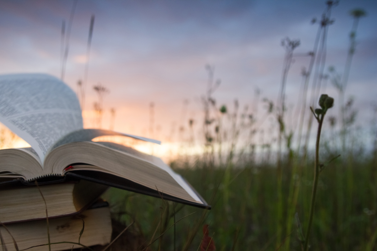Opened-hardback-book-with-fanned-pages-on-blurred-nature-background-482686482_1258x838.jpeg