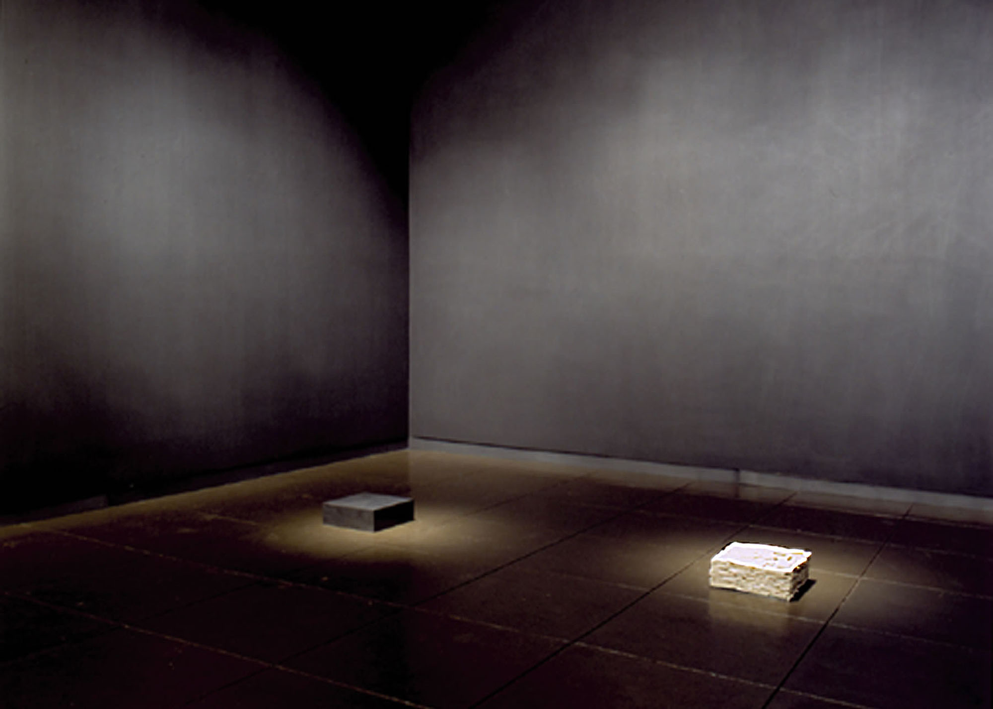   Center of Gravity (installation view, New Mexico Museum of Art, 2001)  Graphite, Porcelain, Steel,&nbsp;20’ x 14’ x 12’ 