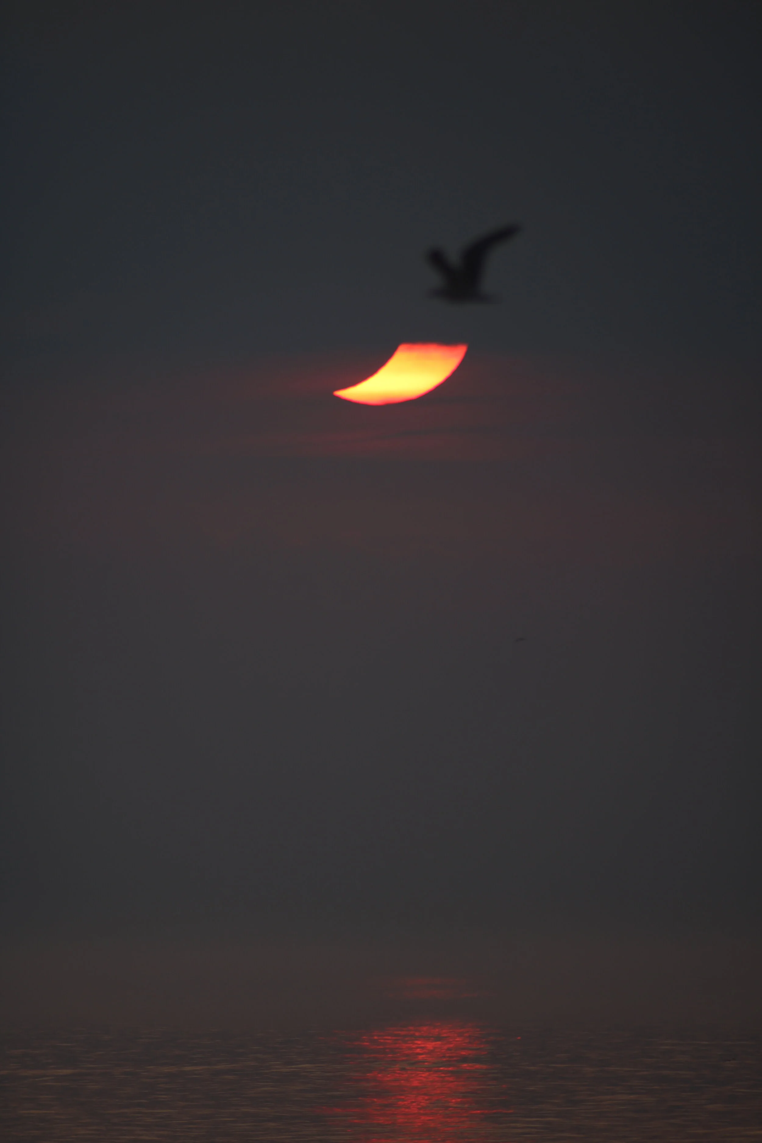 IMG_1542.JPG
