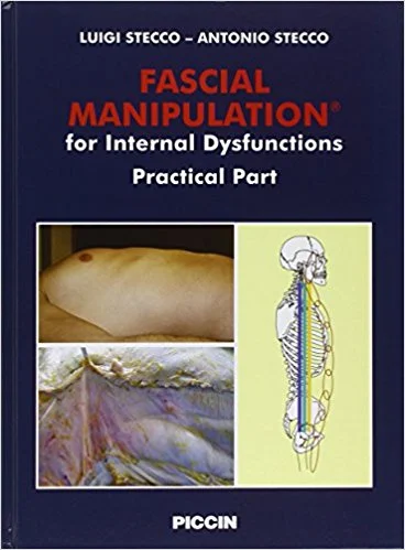 FM for Internal Dysfunctions Practical Part