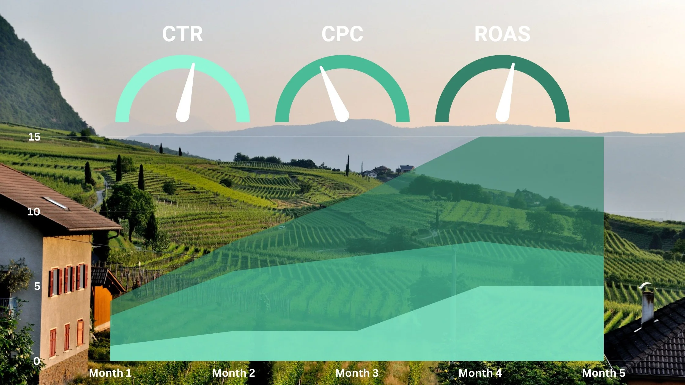 Digital Advertising Benchmarks for Wineries: How to Measure Success