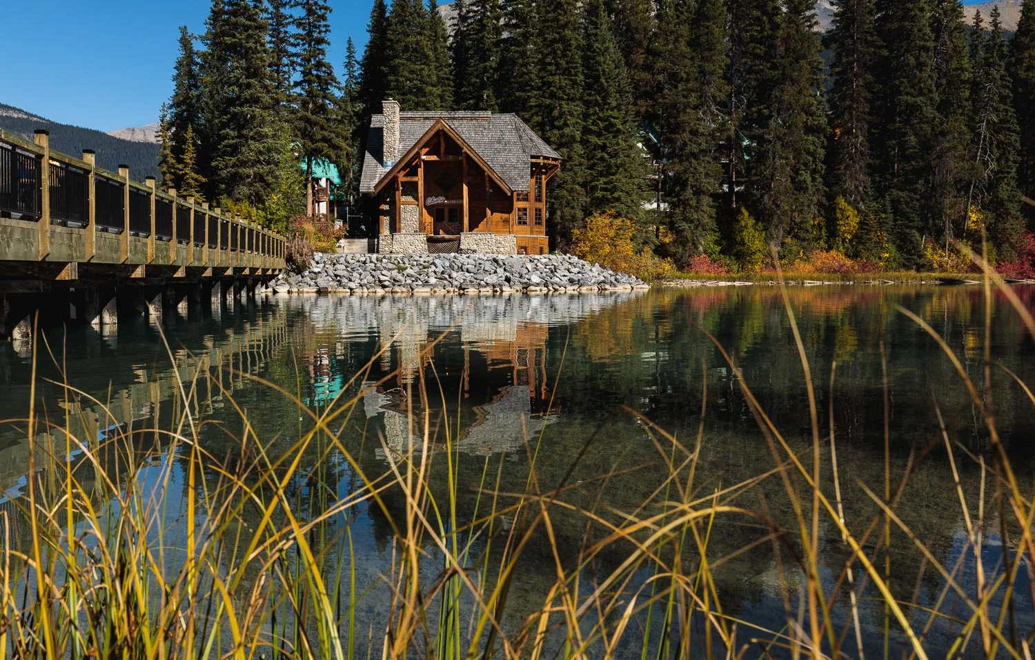 Cilantro at Emerald Lake Lodge