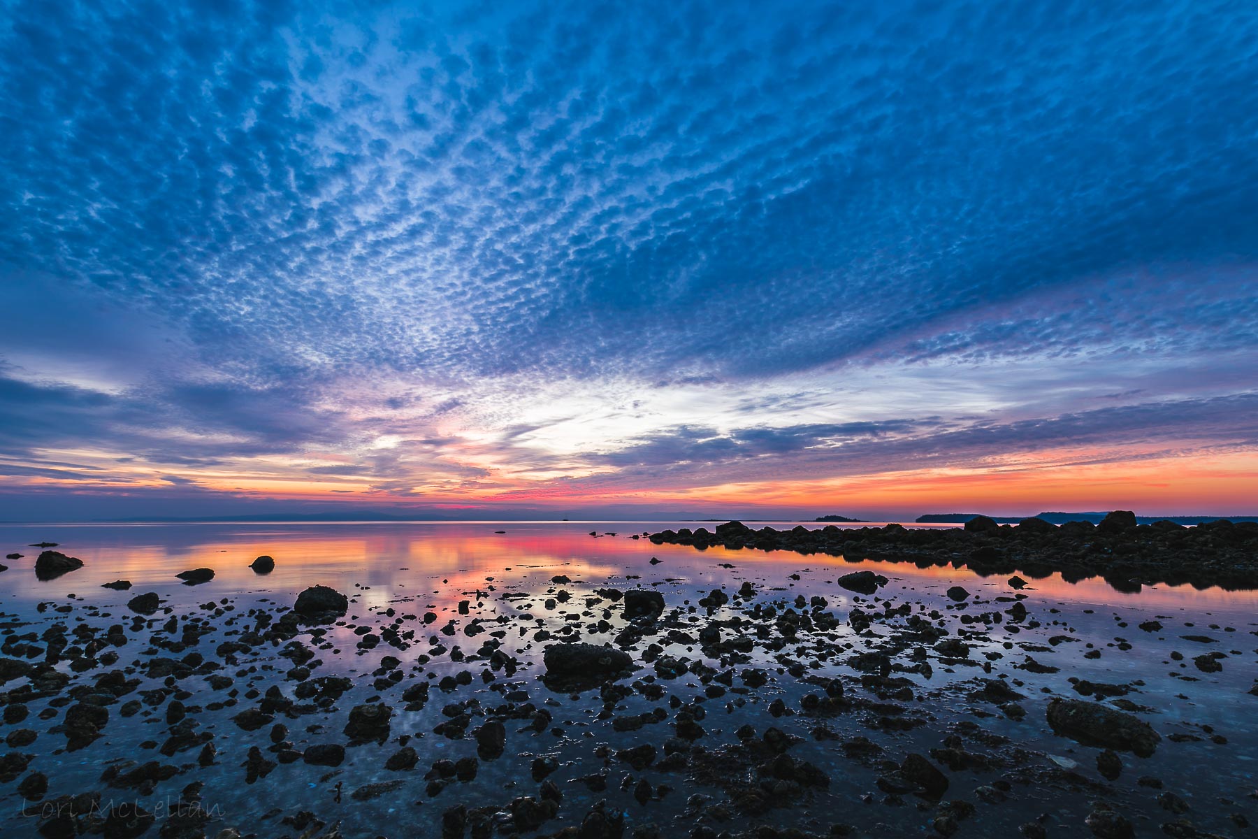 2E2A8642-Edit-2.jpg