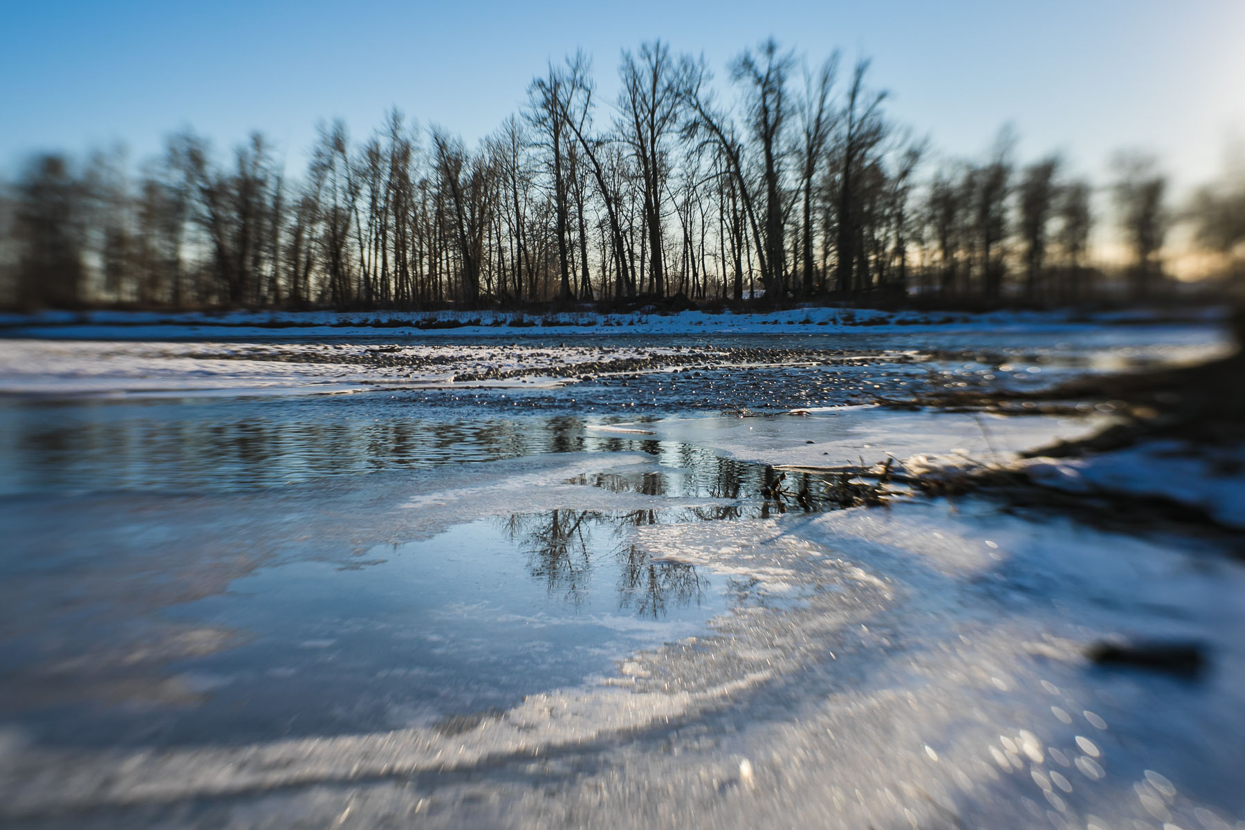 I think one of the reasons I love this park is all the water elements - pathways wind along the river and around ponds where birds, waterfowl, beavers, deer and coyotes all live. There is just something about water that draws me in.