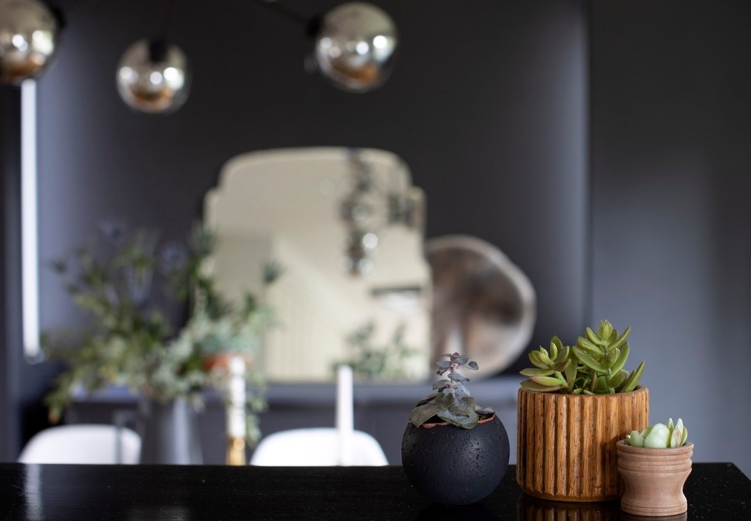 Keeping plants alive is no easy feat! A dark and moody space of the talented @steelwoddesign 
Styled by @thehavencltv + @jvdesigngroup

Photo: @janisnicolayphotography