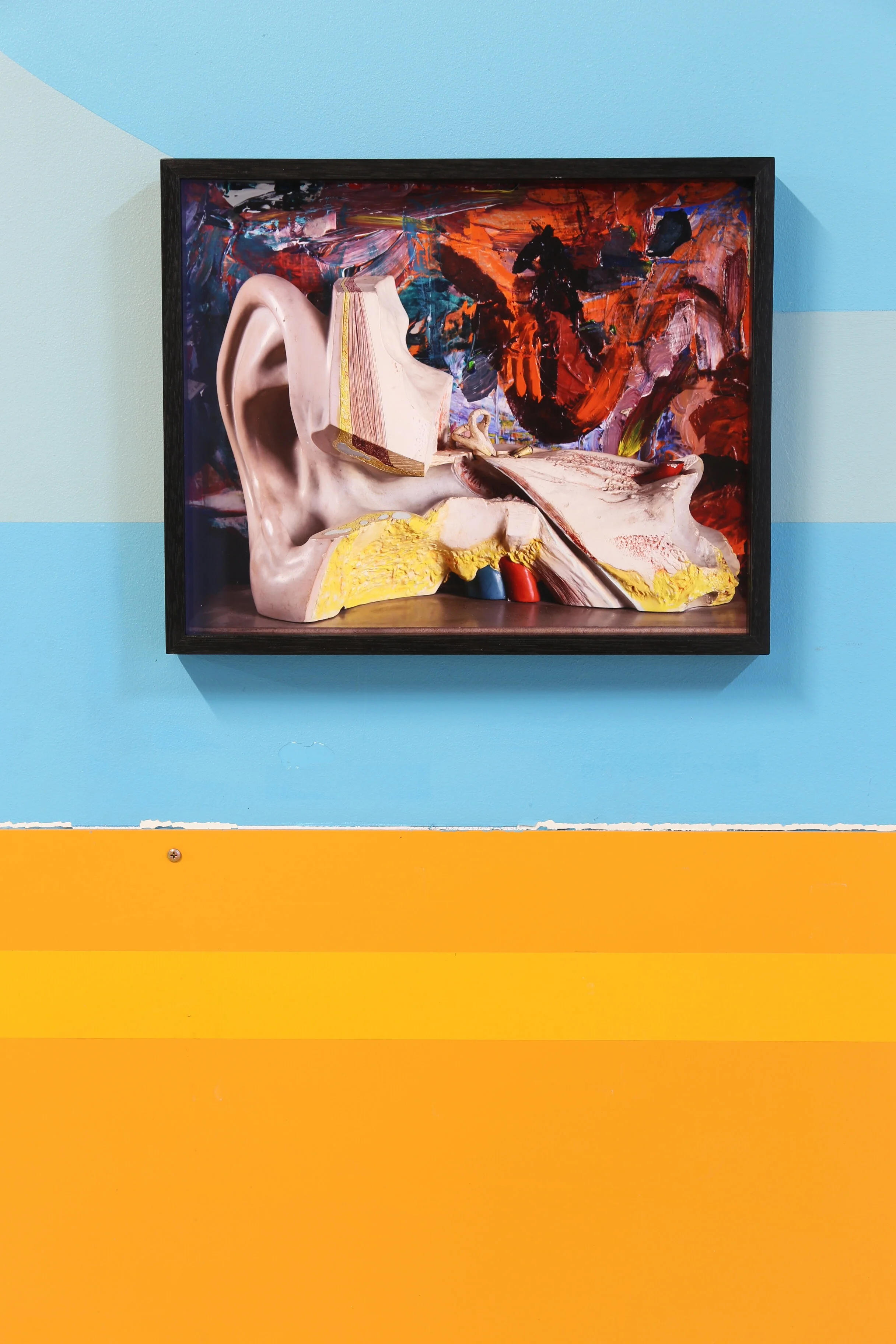 Ali McCann_Anthony's Ear_2019_3.JPG