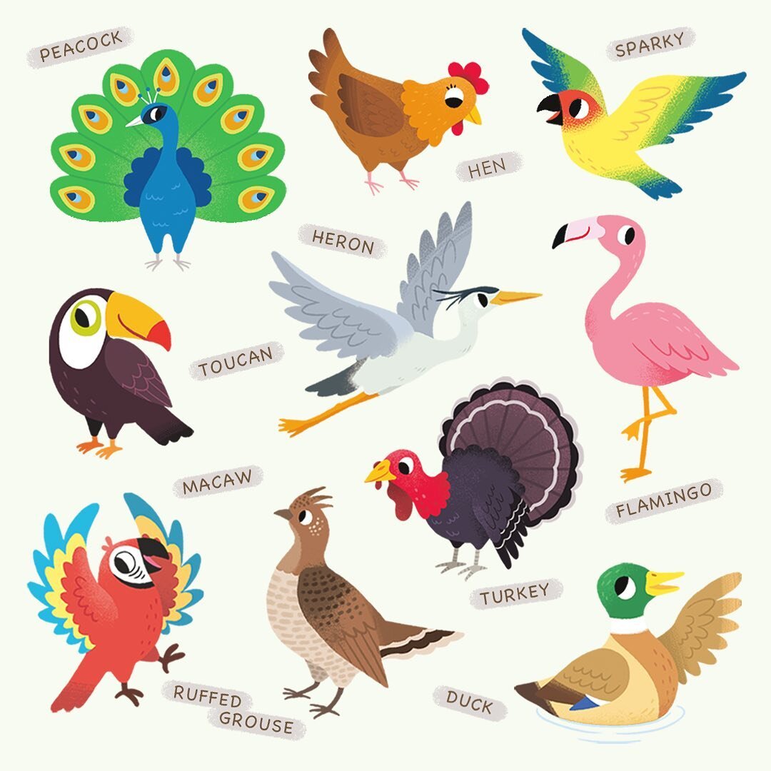 A selection of birds I drew over the past few months🥰🐦

#myart #illustration #childrensillustration #kidsillustration #bird #birdlovers #birdsillustration