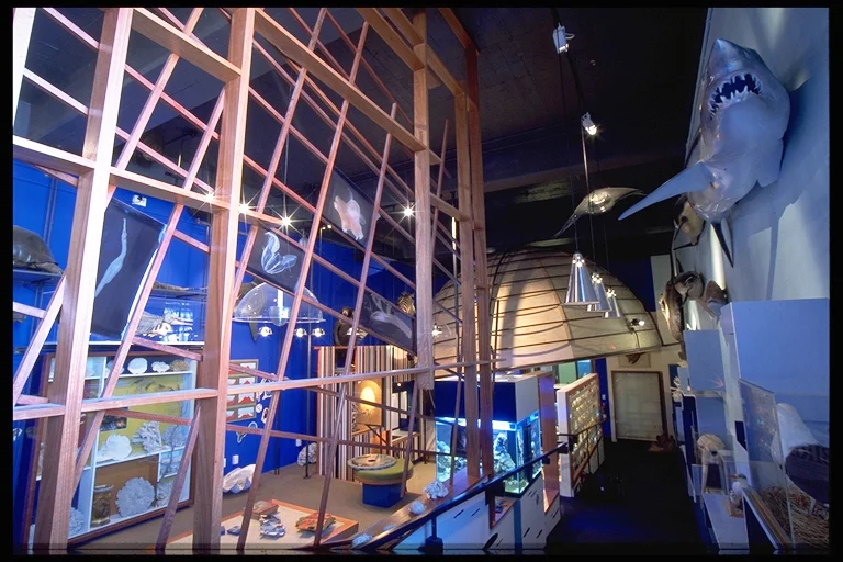 da09 copy 2.jpg