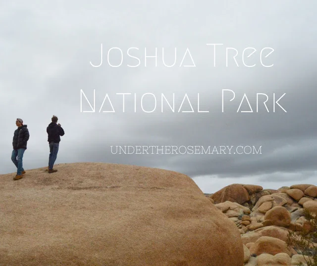 Joshua Tree National Park_banner.jpg