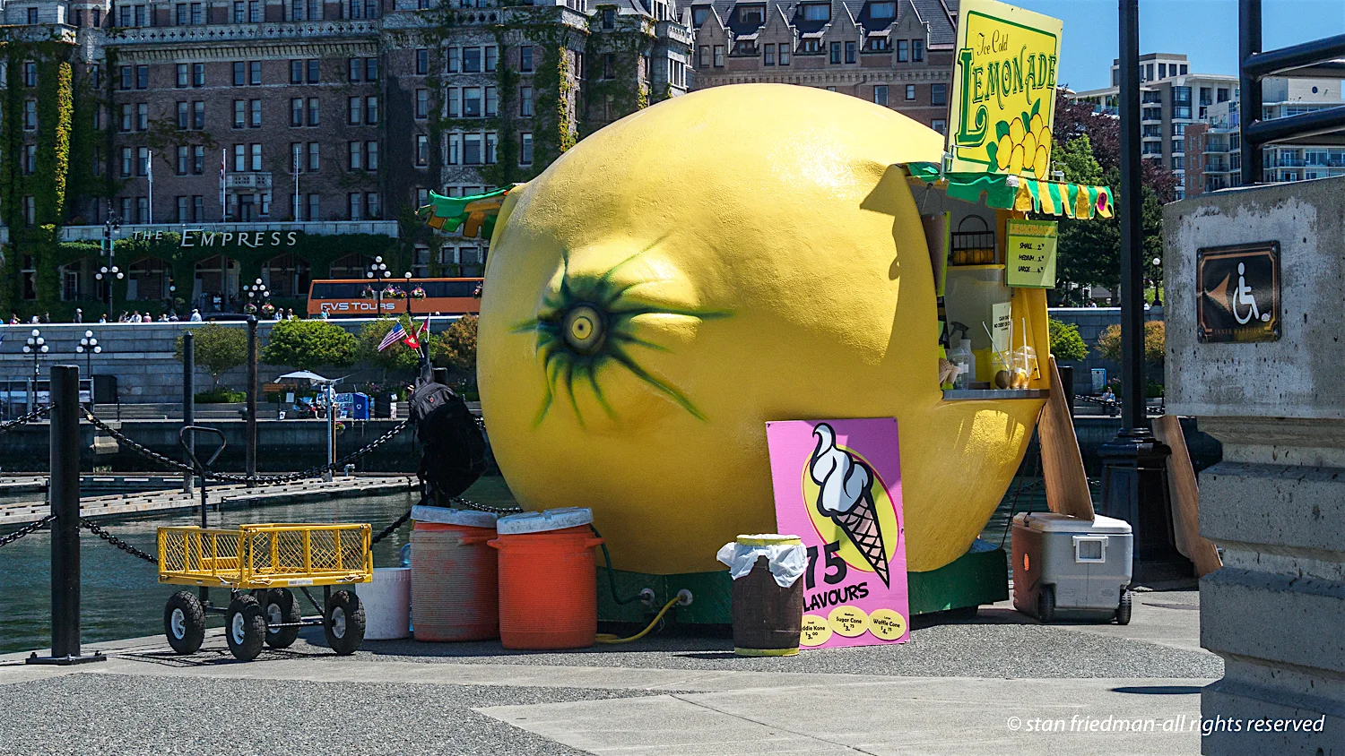 When You Have Lemons . . . . . .