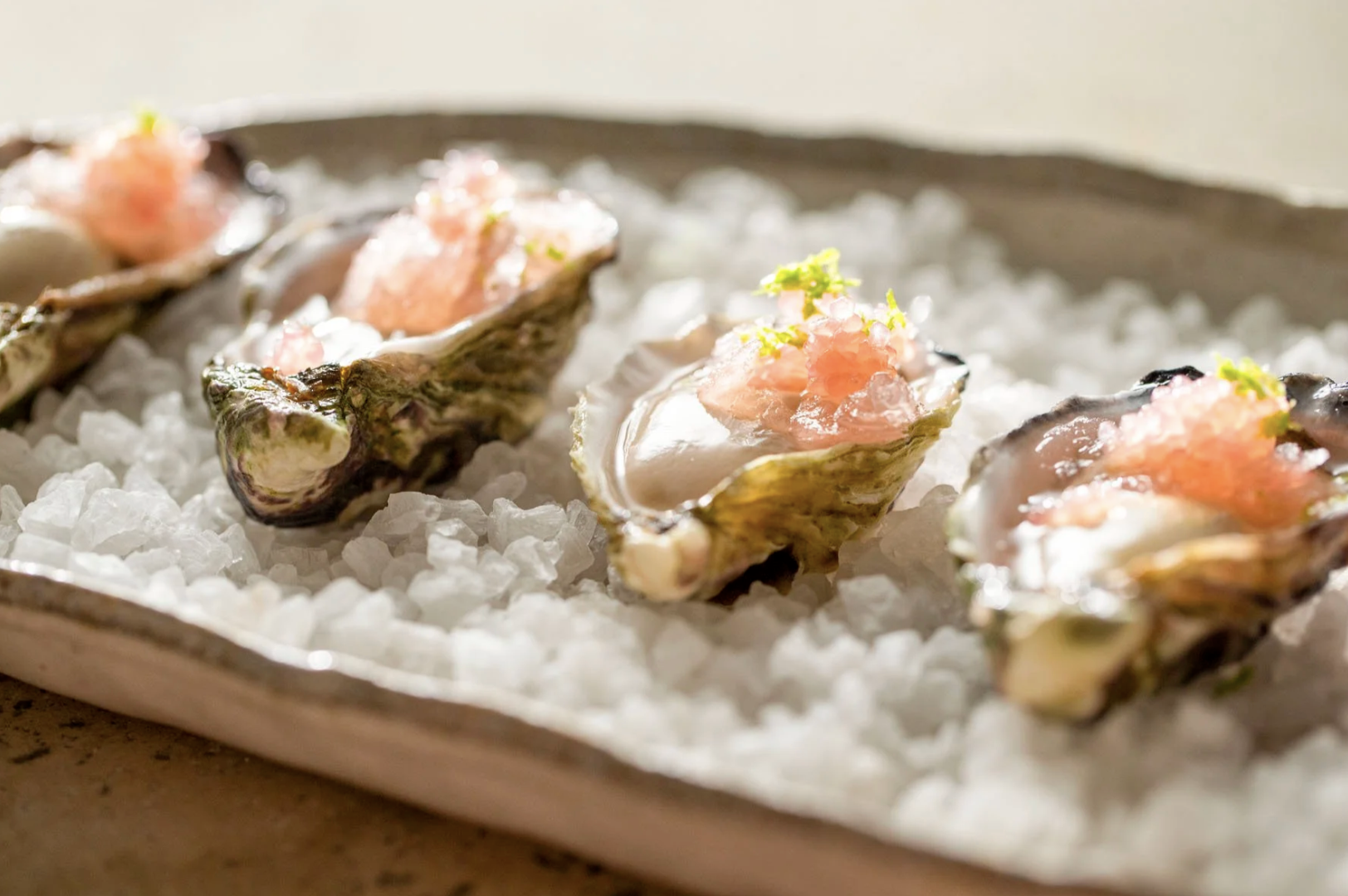 Client - Albany Rock Oysters