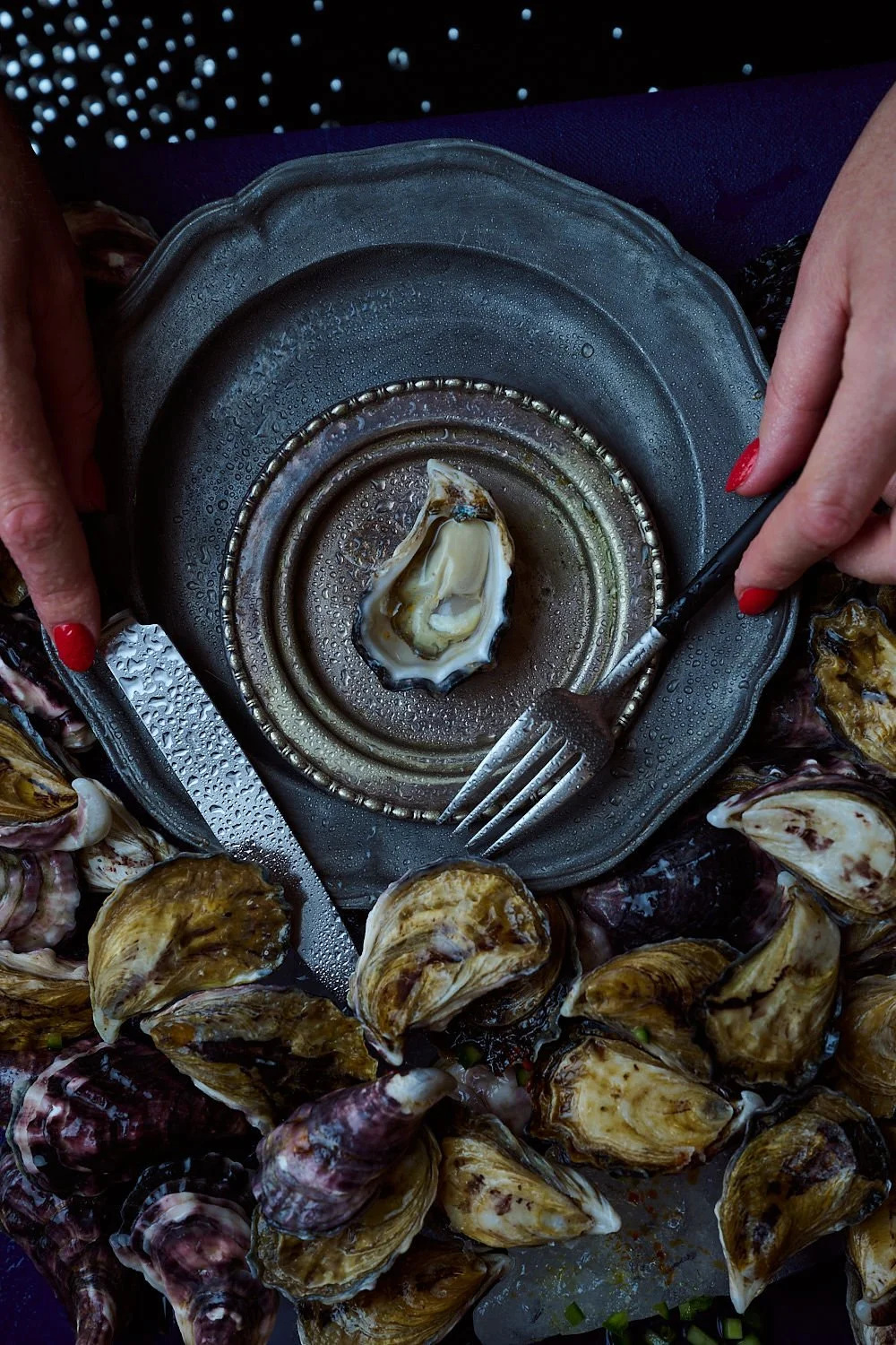 2026-01-28_Oyster1385 (1).jpg