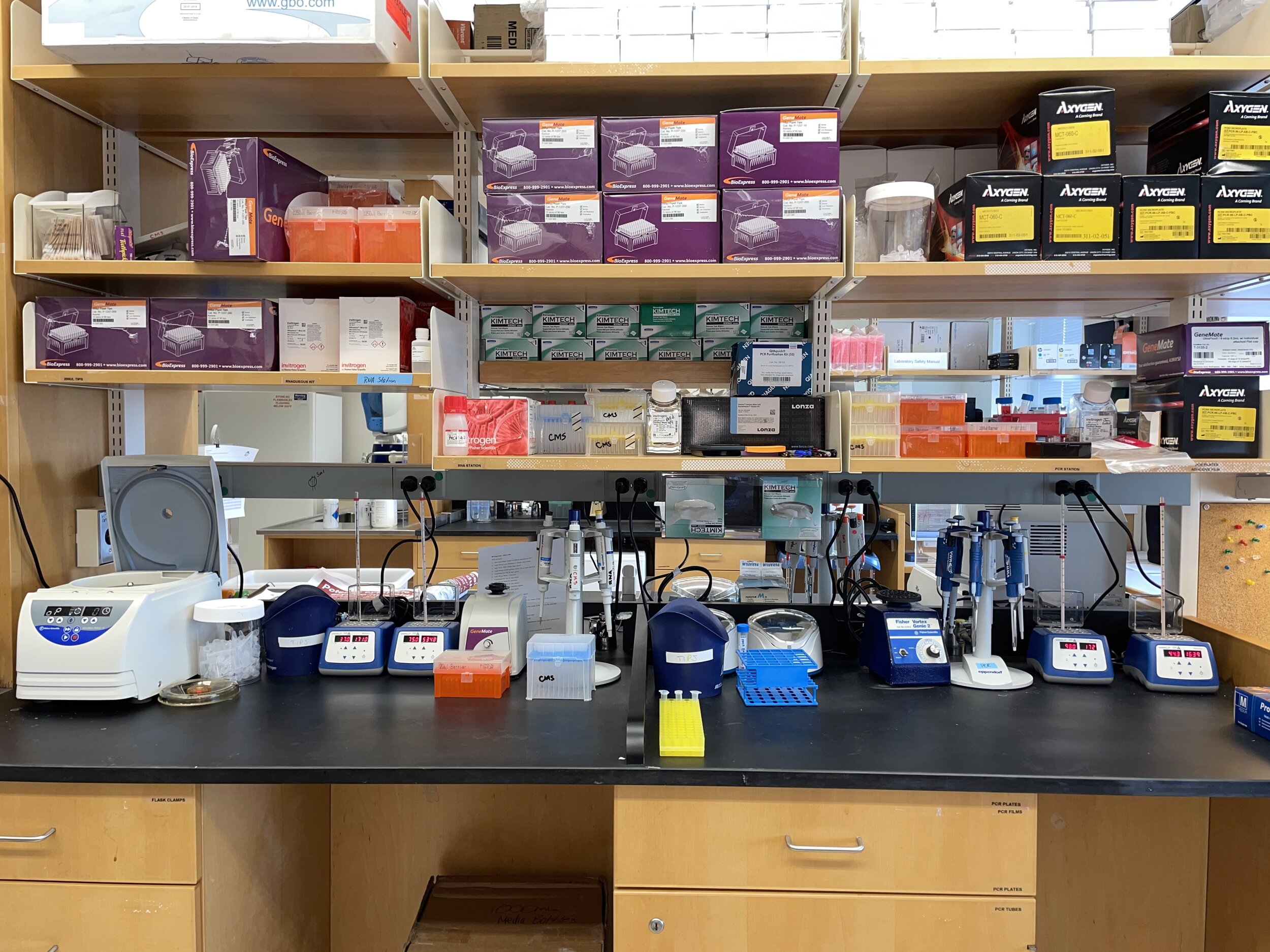 Our RNA and PCR benches