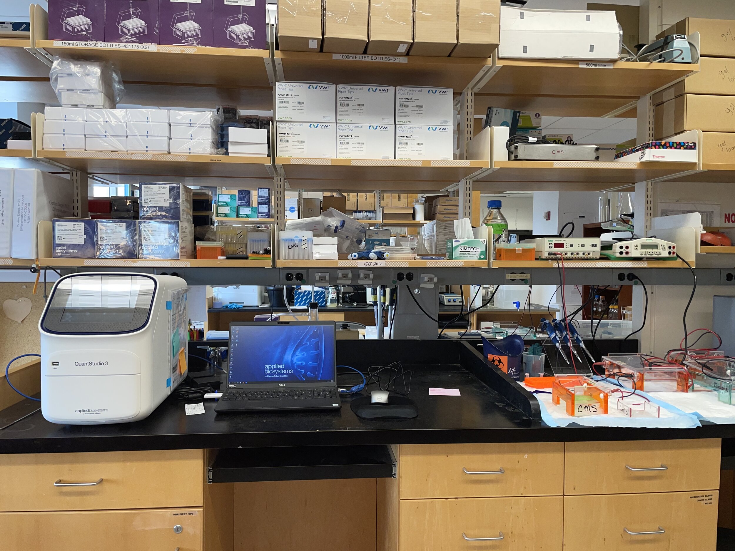 Our qRT-PCR and Electrophoresis benches 