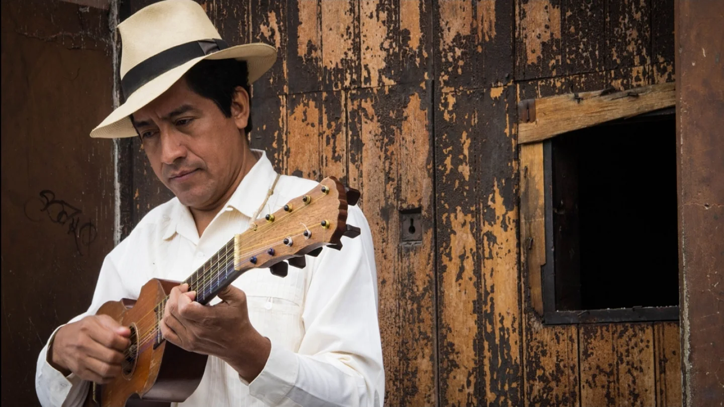 Patricio Hidalgo in concert - Fandango y son from Veracruz, México