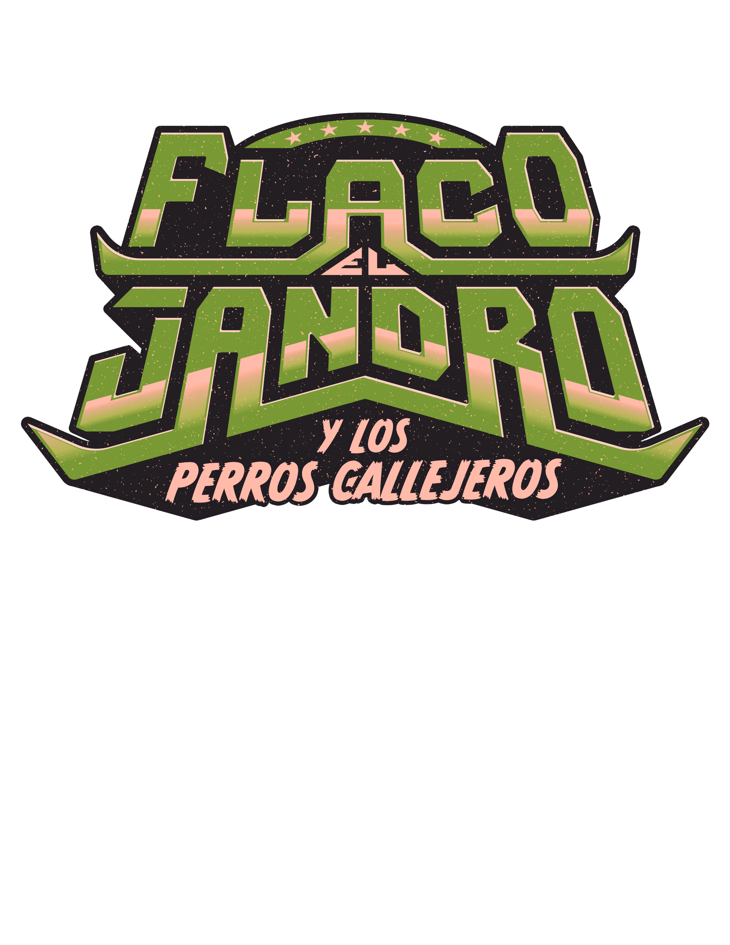Flaco el Jandro y los Perros Callejeros in concert