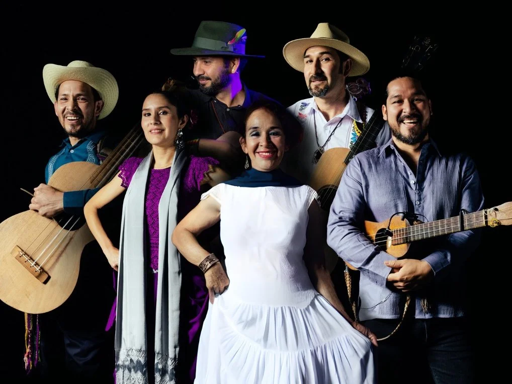 Los Hermanos Vega - Son Jarocho in concert