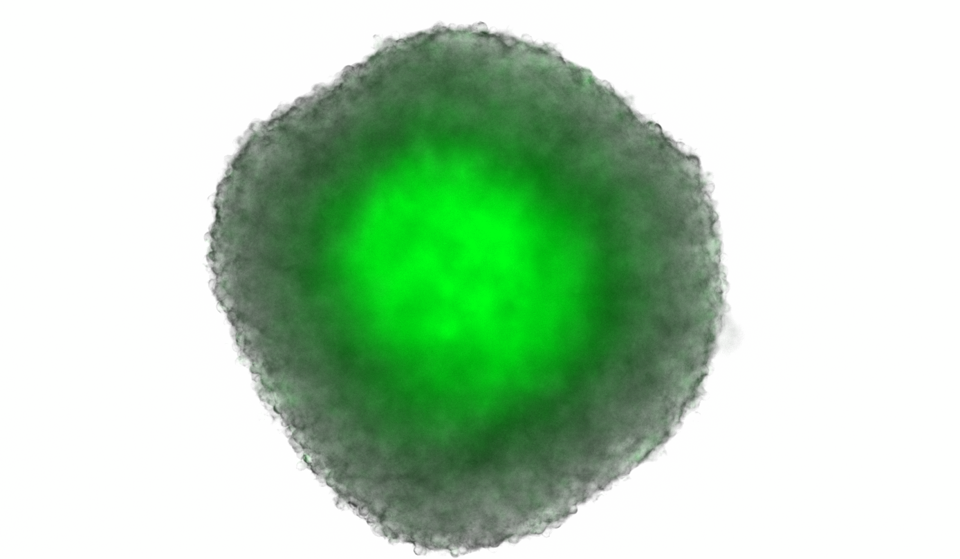 Spheroid.png